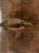 Cliquez sur l'image terre polie enfume 18x24 cm, 2011 pour la voir en grand - Donaint-Bonave - terre polie enfume 18x24 cm, 2011